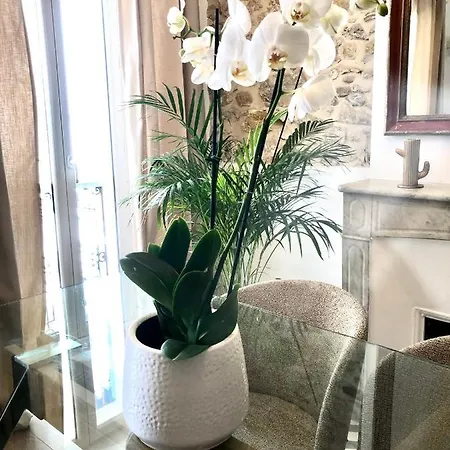 L De Manon, Centre Historique Du Vieil Apartment