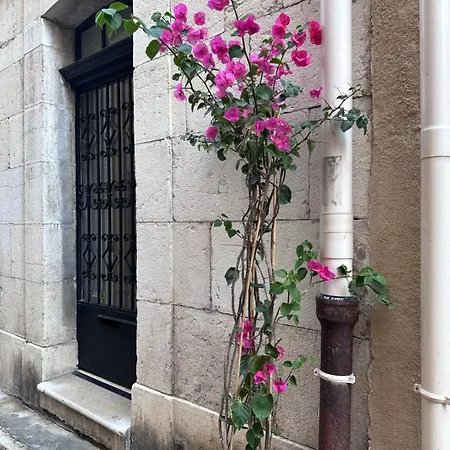 Maison Manon- Old Antibes 아파트 *
