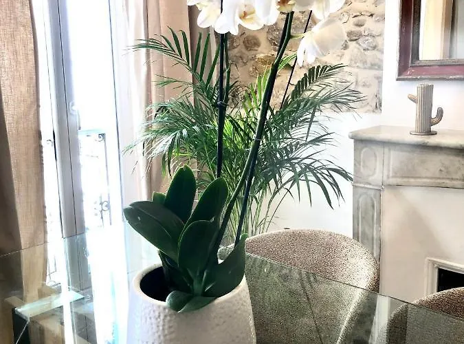 L De Manon, Centre Historique Du Vieil Appartement